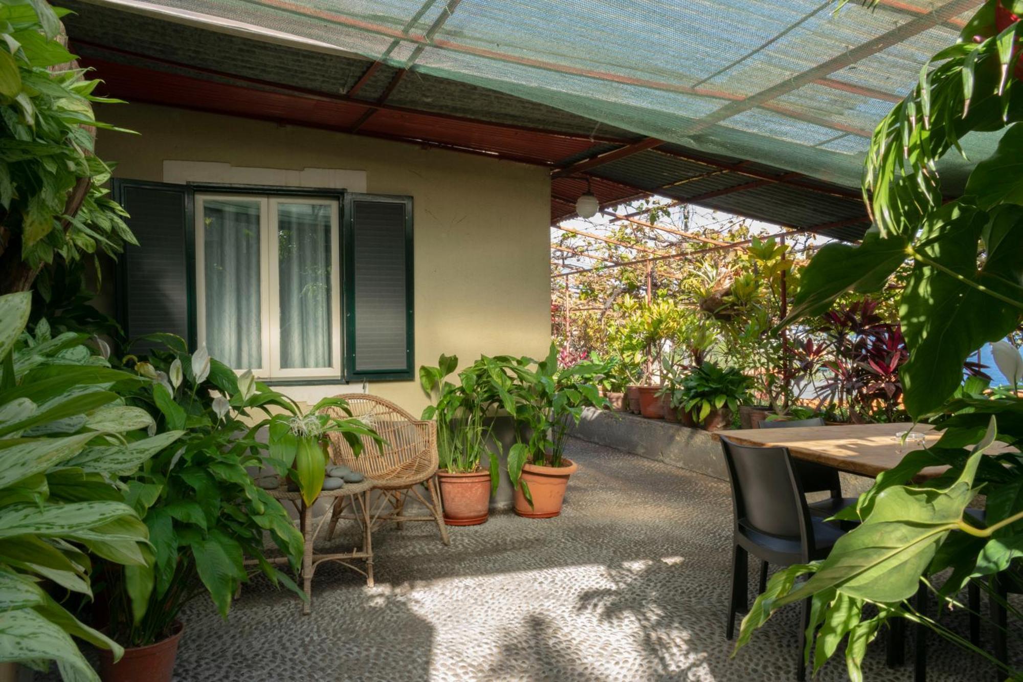 Casa Do Boto Villa Santa Cruz  Exterior photo