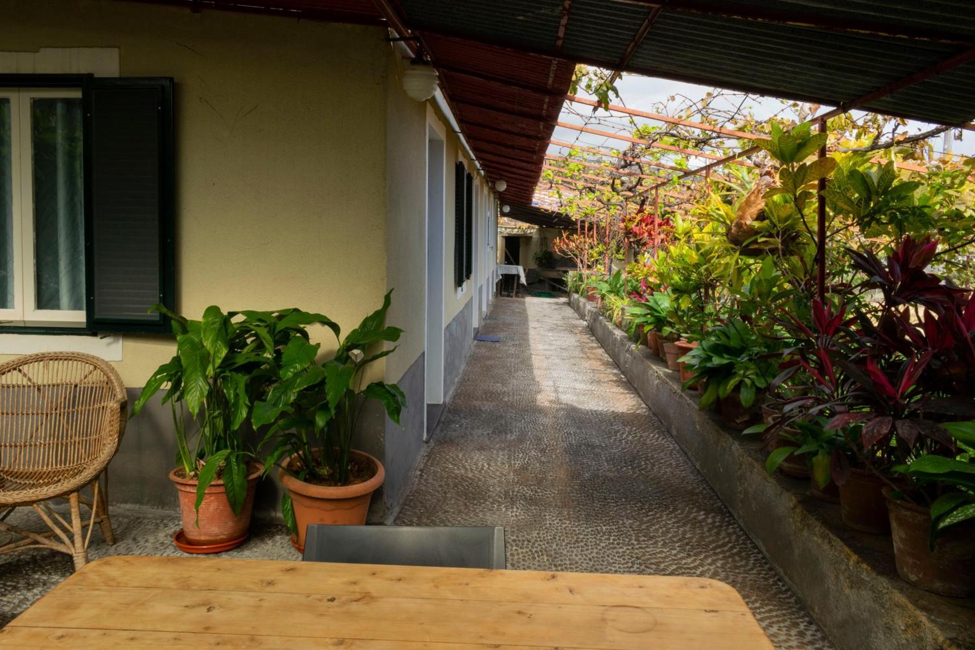 Casa Do Boto Villa Santa Cruz  Exterior photo